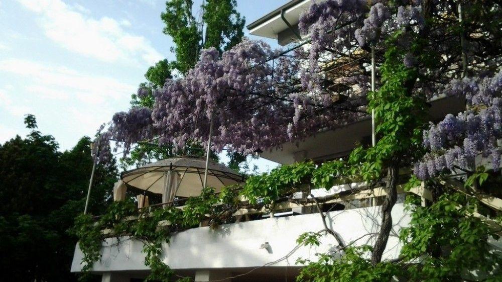 Hotel Ristorante Sole มูเจีย ภายนอก รูปภาพ